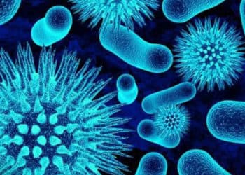 Консультация эксперта по вопросам дезинфекции и антисептики