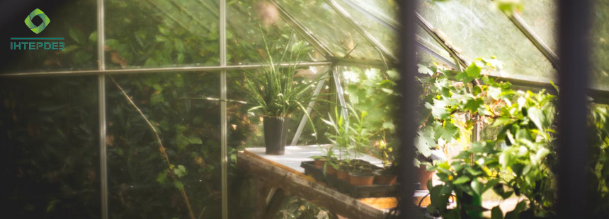 Дезінфікуючі і антисептичні засоби для тепличних господарств